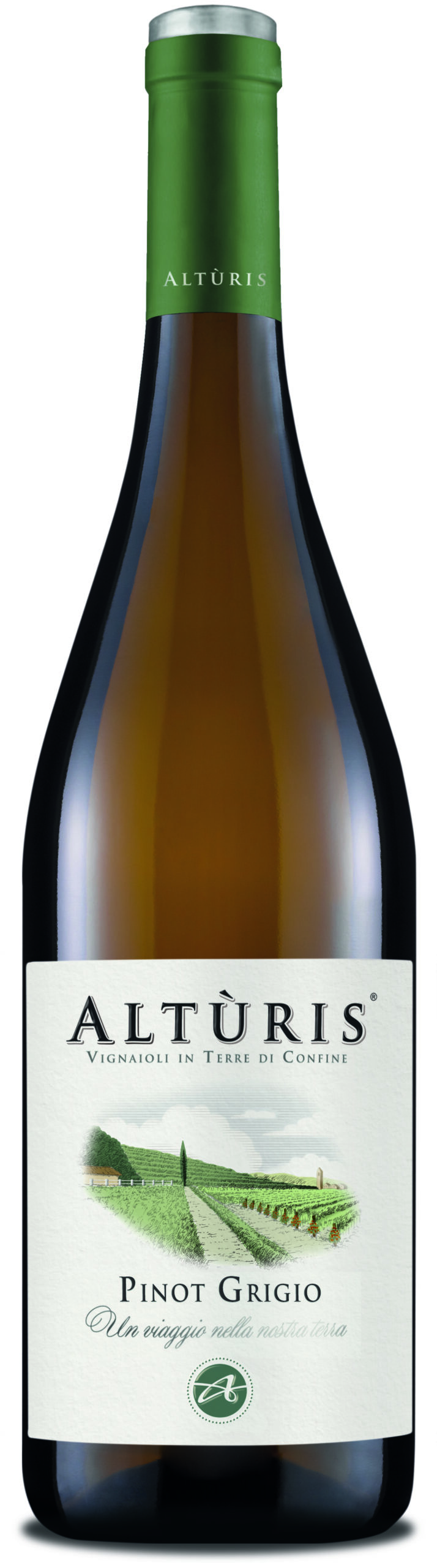 Alturis Pinot Grigio Friuli DOP 2024